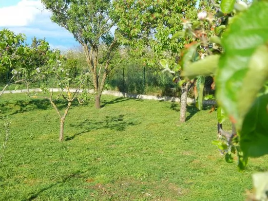 Apartmán Severní Dalmácie - Nin DA 5211 N1