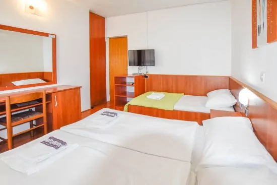 Apartmán Severní Dalmácie - Pakoštane DA 4603 N1