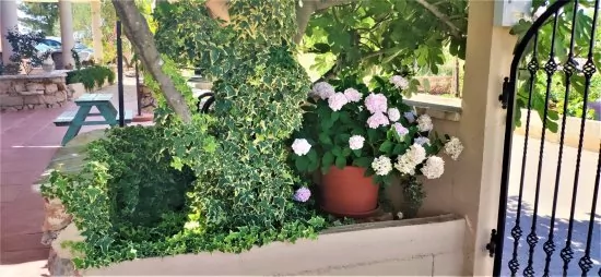 Apartmán Severní Dalmácie - Vodice DA 4178 N2