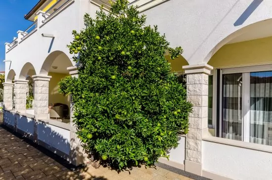 Apartmán Střední Dalmácie - Okrug Gornji DA 3328 N2