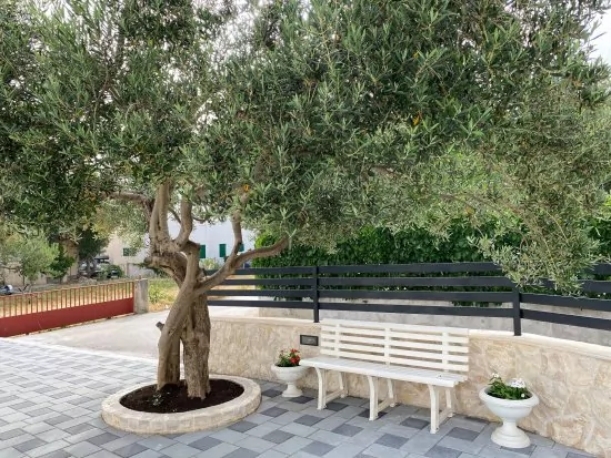 Apartmán Severní Dalmácie - Žaboric DA 3806 N3