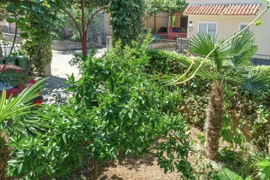 Apartmán Severní Dalmácie - Vodice DA 4182 N1