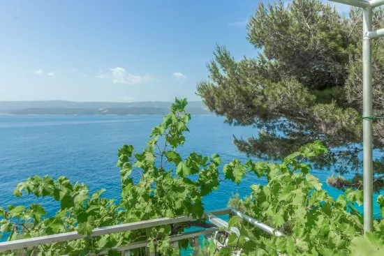 Apartmán Střední Dalmácie - Staniči DA 2609 N1