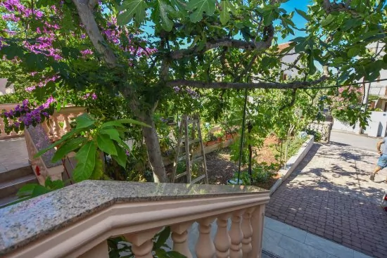 Apartmán Severní Dalmácie - Biograd na Moru DA 4733 N2