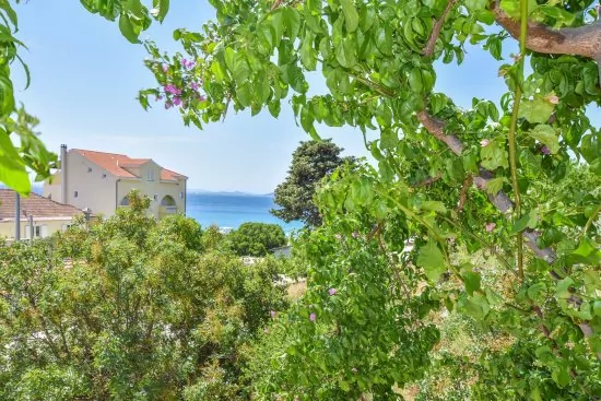 Apartmán Severní Dalmácie - Drage DA 4506 N2