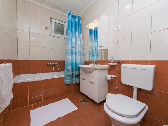 Apartmán Střední Dalmácie - Brela DA 2209 N2