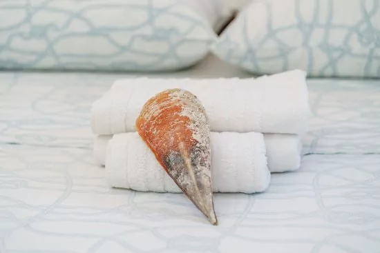 Apartmán Severní Dalmácie - Vodice DA 4184 N3